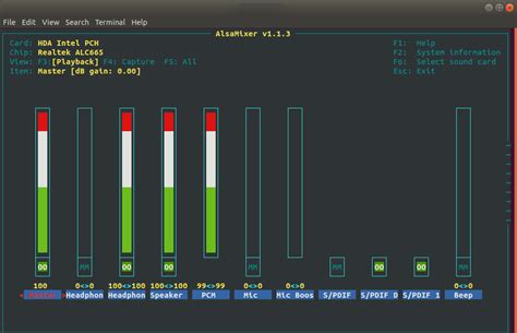 how to enable capture chanel alsa in ubuntu|alsa linux sound device.